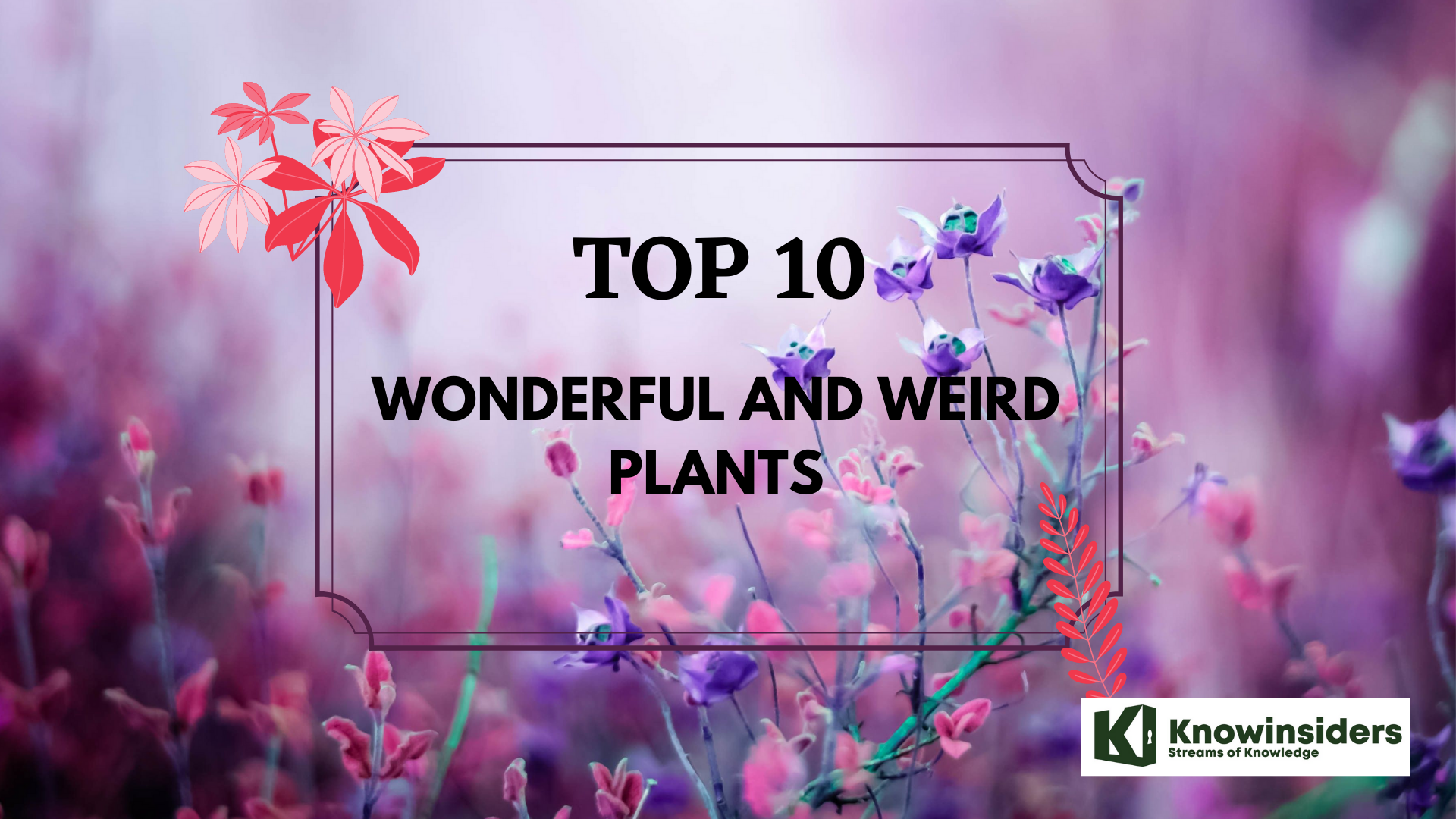 Top 10 Weirdest Flowers in the World