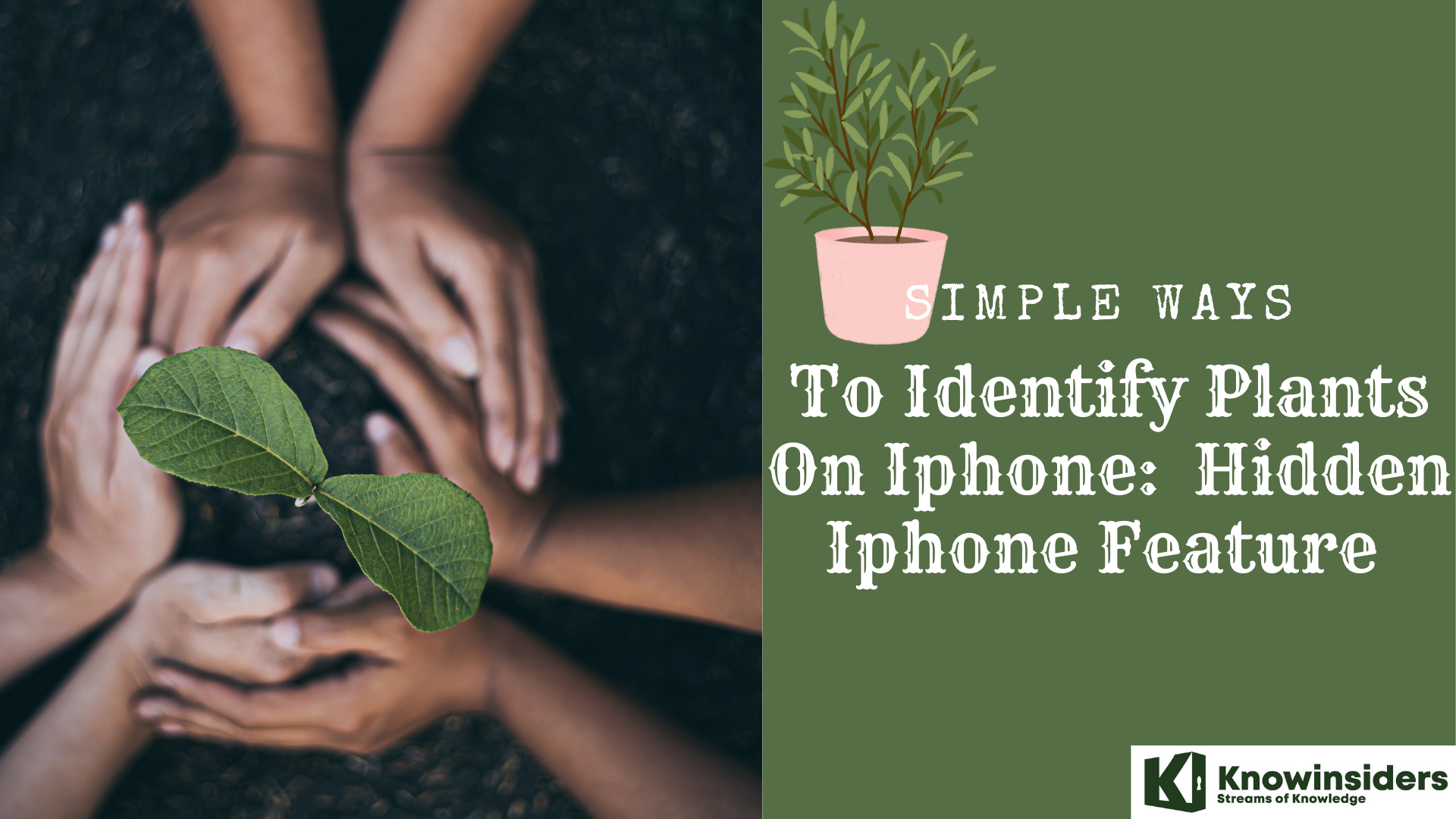 Simple Ways To Identify Plants On iPhone: New Hidden Feature