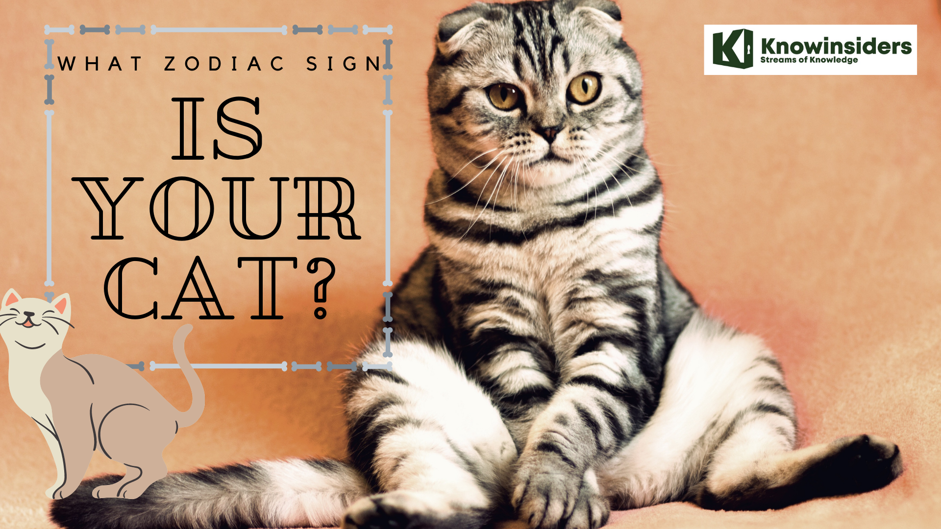 Read 'Cat Zodiac Sign' to Know their Personality and Horoscope