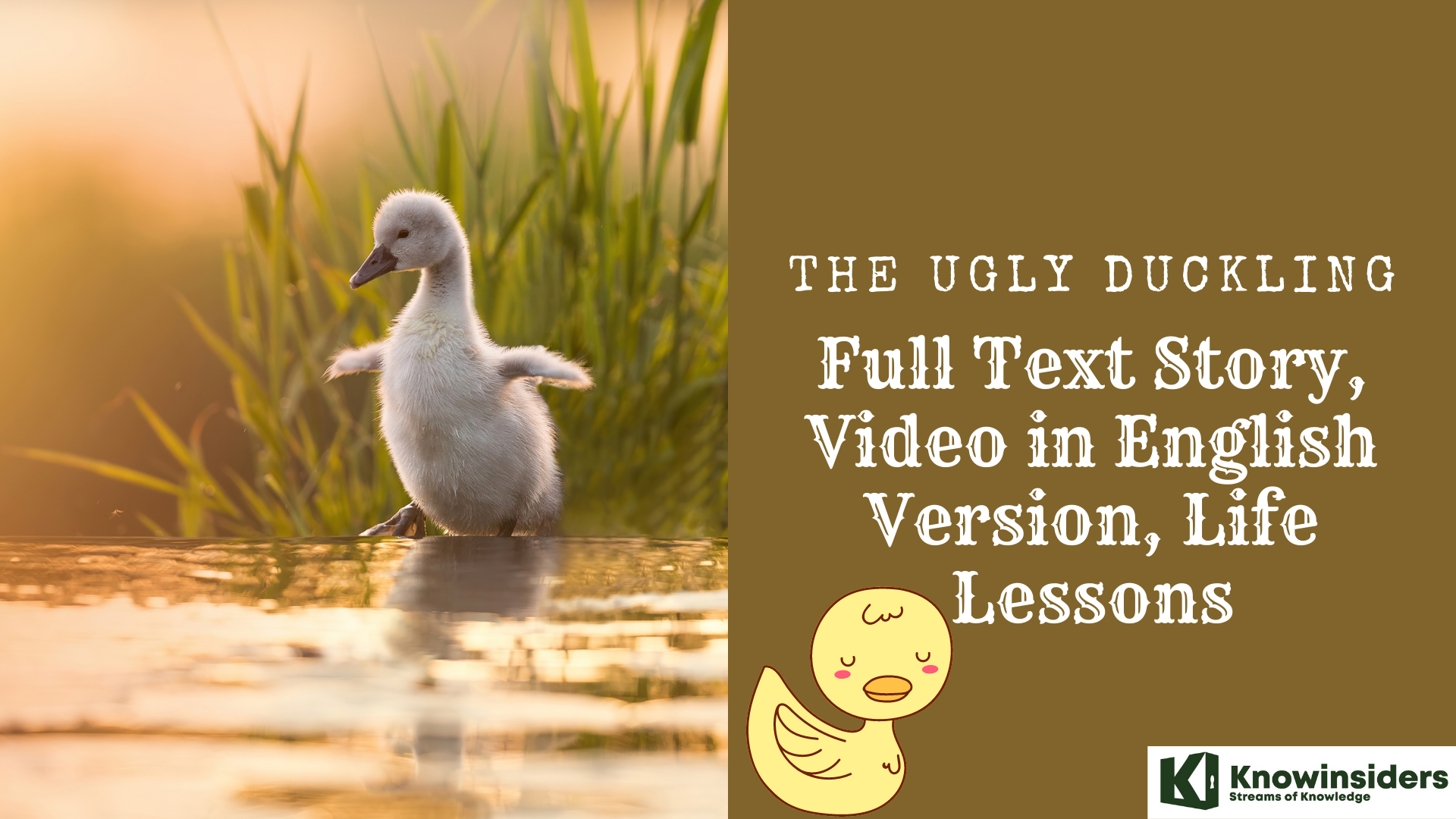 The Ugly Duckling: Full Text Story, Video in English Version, Life Lessons