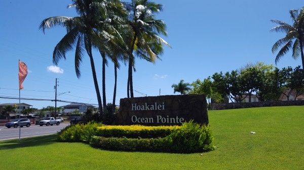 Photo: Hawaii Life 