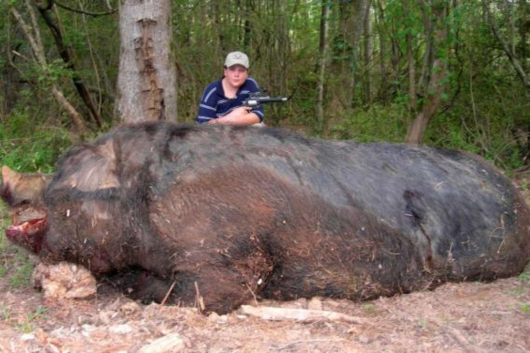 Jamison Stone, 11, poses with a wild pig he killed near Delta, Ala. Stone's father, Mike, says the hog weighed 1,051 pounds.COURTESY MELYNNE STONE/ASSOCIATED PRESS