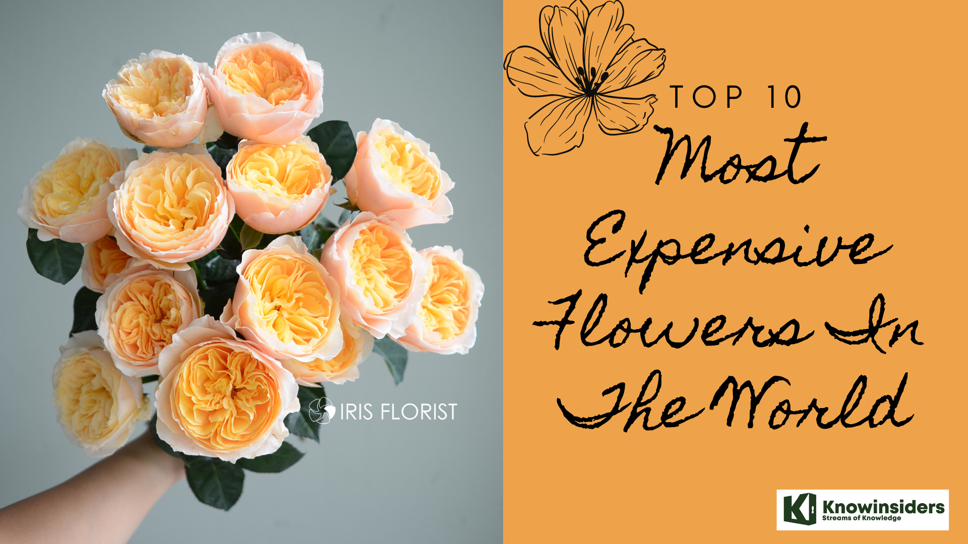 Top 10 Most Expensive Flowers in the World