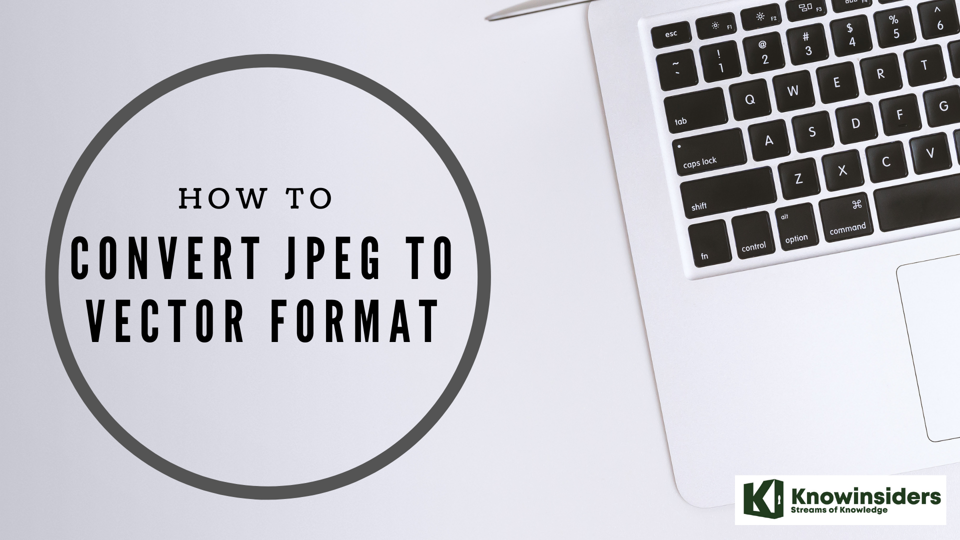 How To Convert JPEG To Vector: Step-By-Step Guide