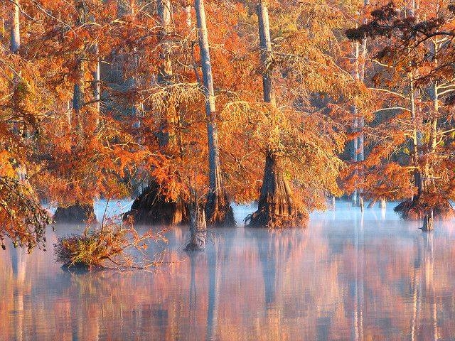 14 Top Rated Tourist Attractions in Mississippi | PlanetWare