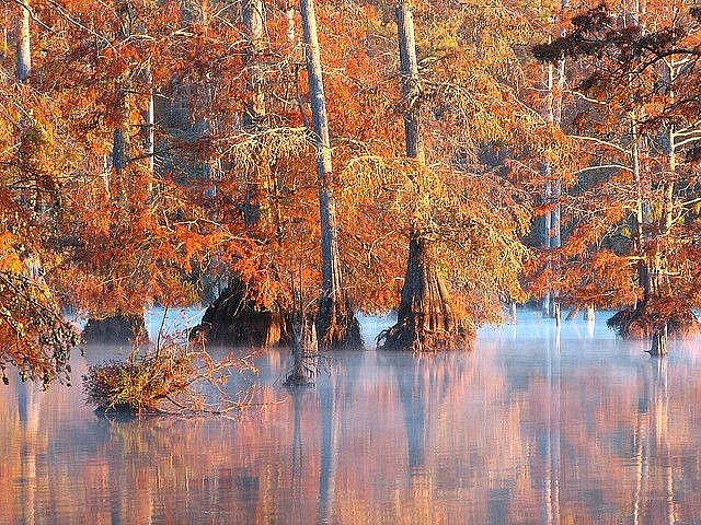 TOP 7 Best Destinations in Mississippi for Tourist