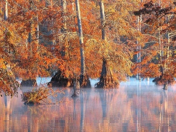 top 7 tourist attractions in mississippi
