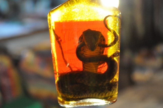 Snake Wine - One of the World's Weirdest Drinks in VietNam