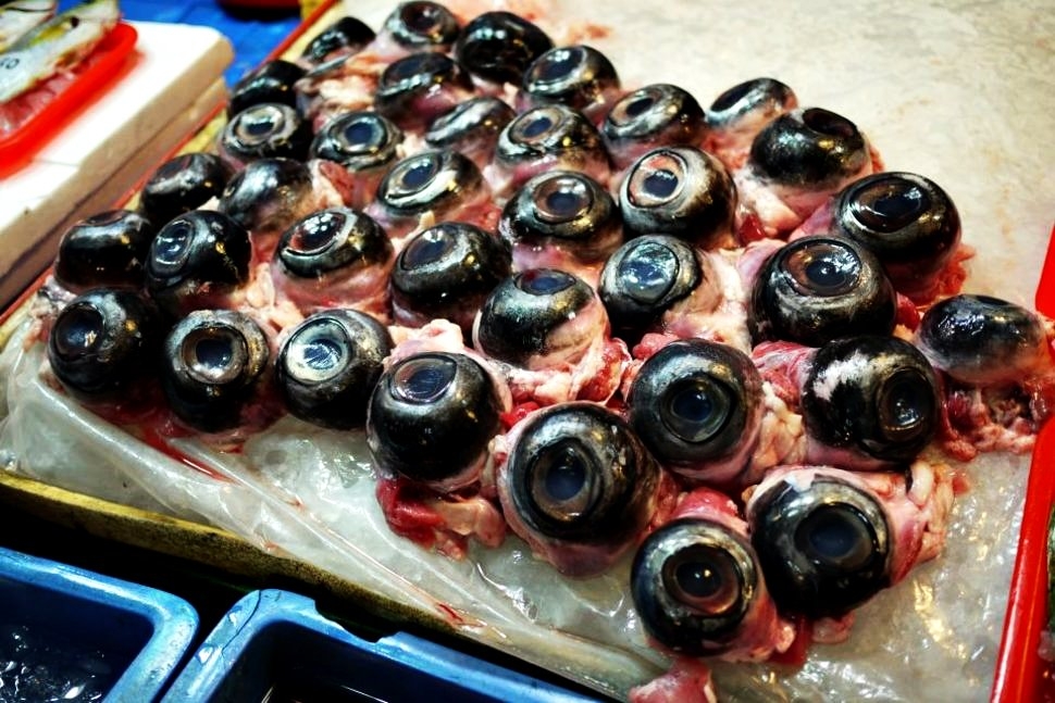 0244 tuna eyeballs one of worlds most bizarre foods 1