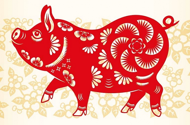 PIG Chinese Zodiac Signs 2021: Horoscope Predictions for Love, Finance, Career and Health