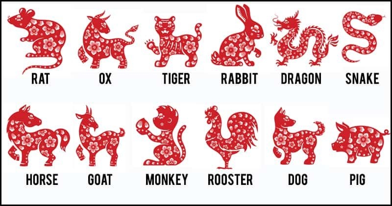 Top 5 Most Unlucky Signs in 2021 according to Chinese Zodiac