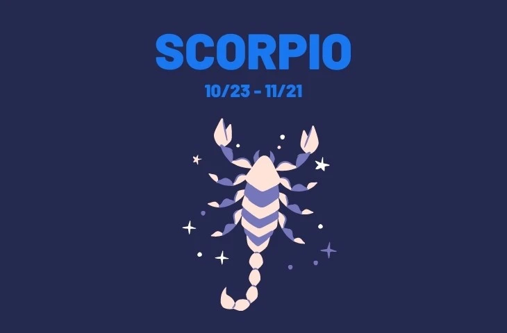 Scorpio zodiac signs. Photo: Star Naming