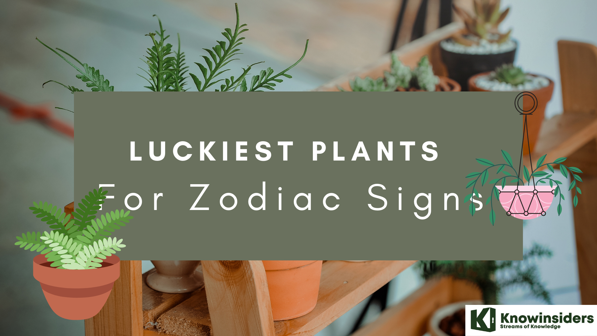 Luckiest Plants for Zodiac Signs According to Astrology