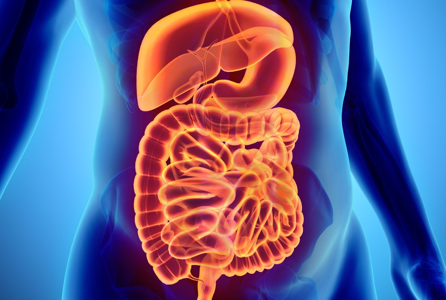 Top interesting Facts about Digestive system