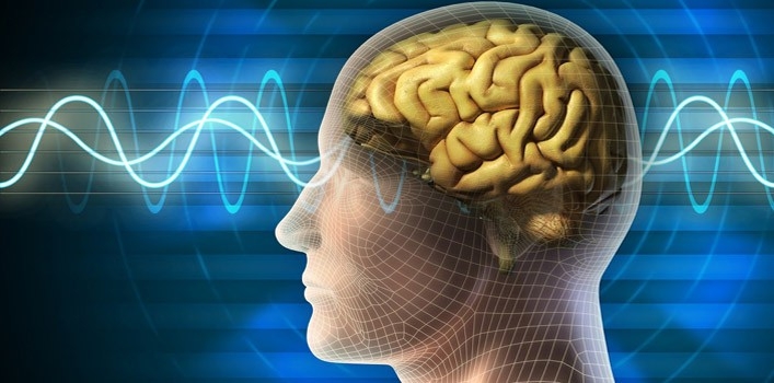 Top Interesting Facts About Our Brain