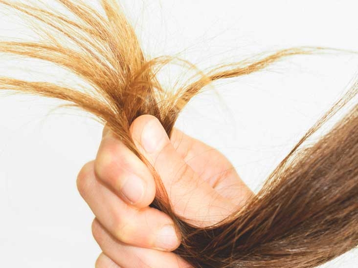 1531 top interesting facts you may not know about hair 3