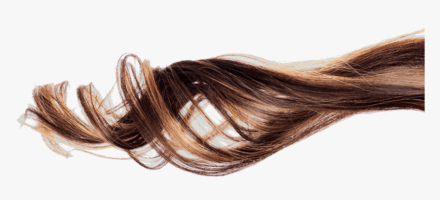 1619 top interesting facts you may not know about hair 2