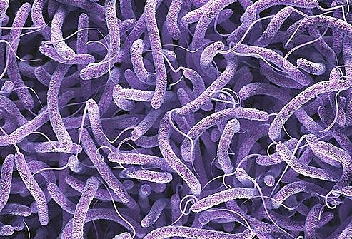 What is Cholera: Symptoms, Causes, Transmission, Best Treatments for a Common Diseases in India