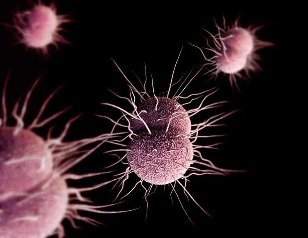 What is Gonorrhoea: Symptoms, Causes and Prevention for most common disease in India