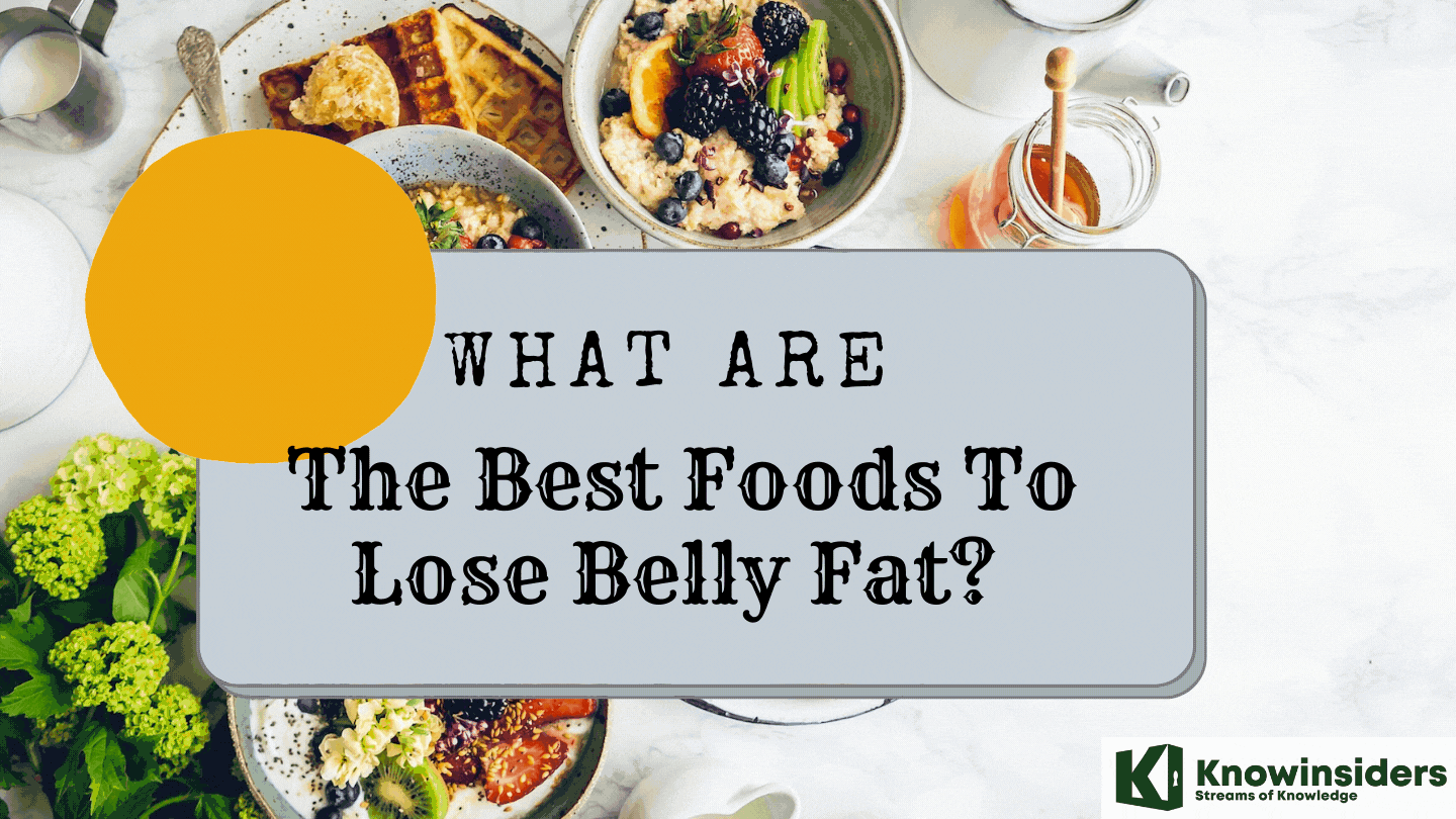 What Are The Best Foods That Burn Belly Fat?