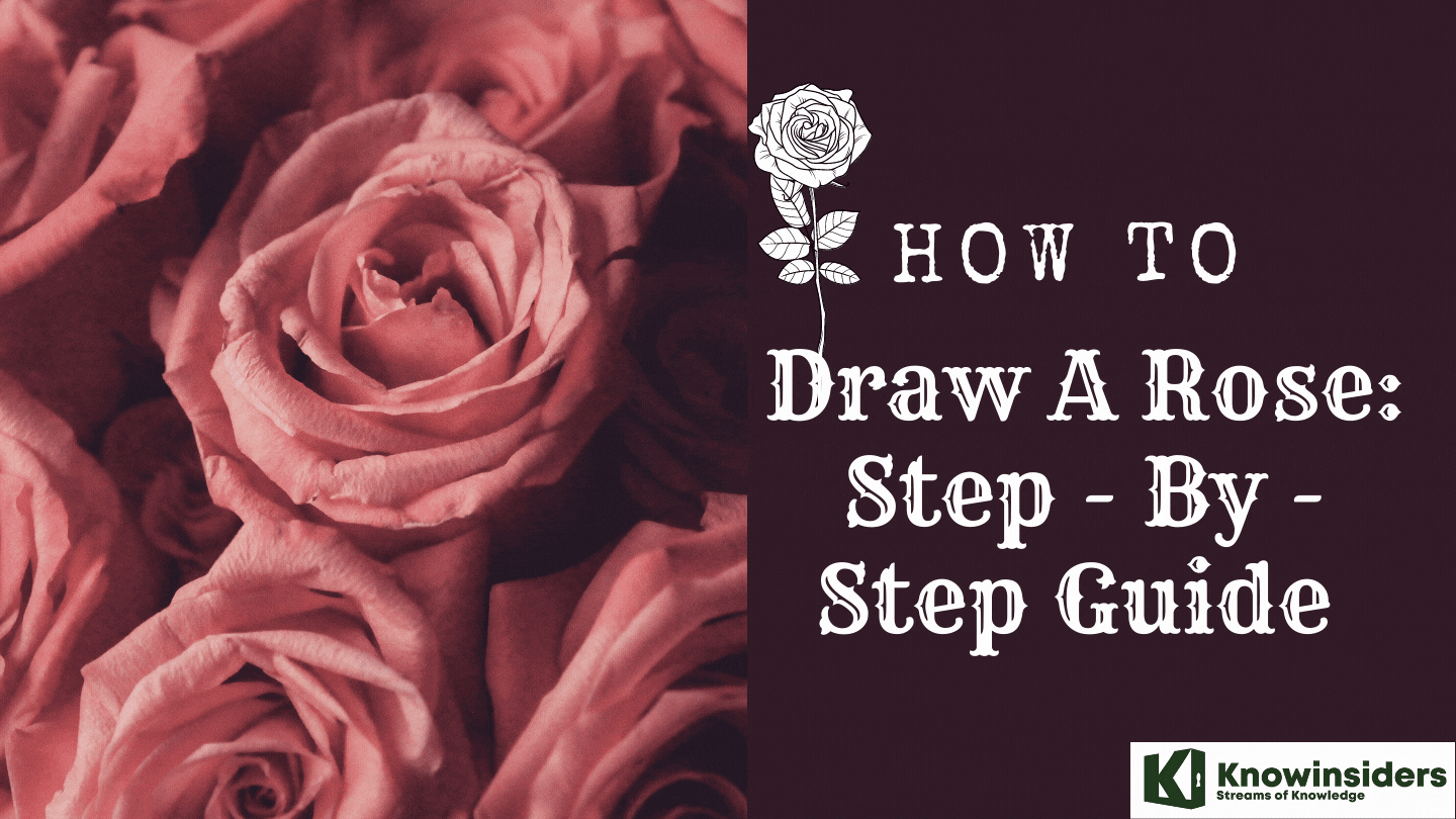 How To Draw A Rose: Step By Step Guides