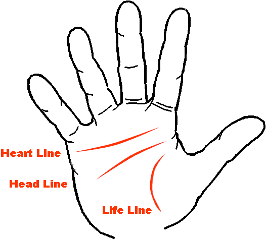 Guides of Chinese palm line reading