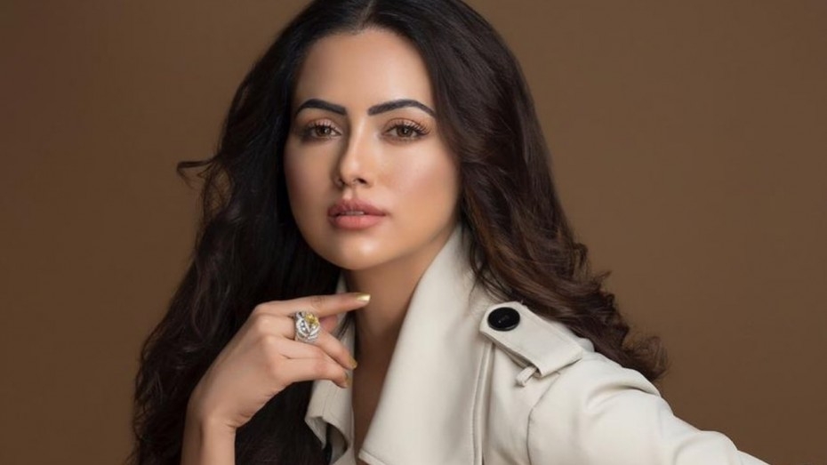 Who is Sana Khan, Fact&Life Story and What did she react 'Negative Videos'
