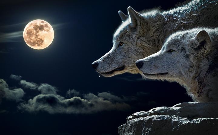 How to Watch and When to See full 'wolf moon'