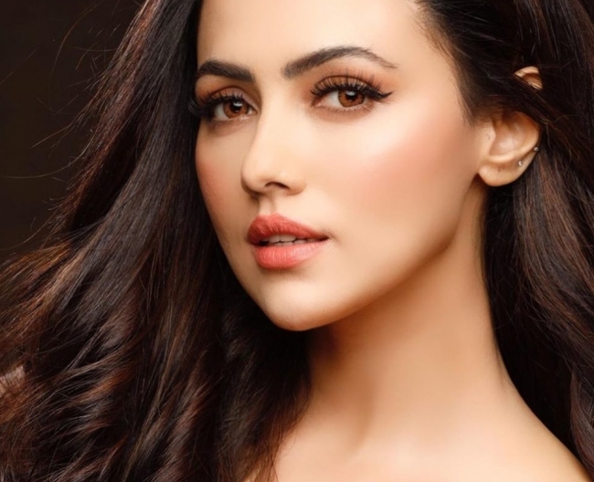 Who is Sana Khan, Fact & Life Story and What did she react 'Negative Videos'