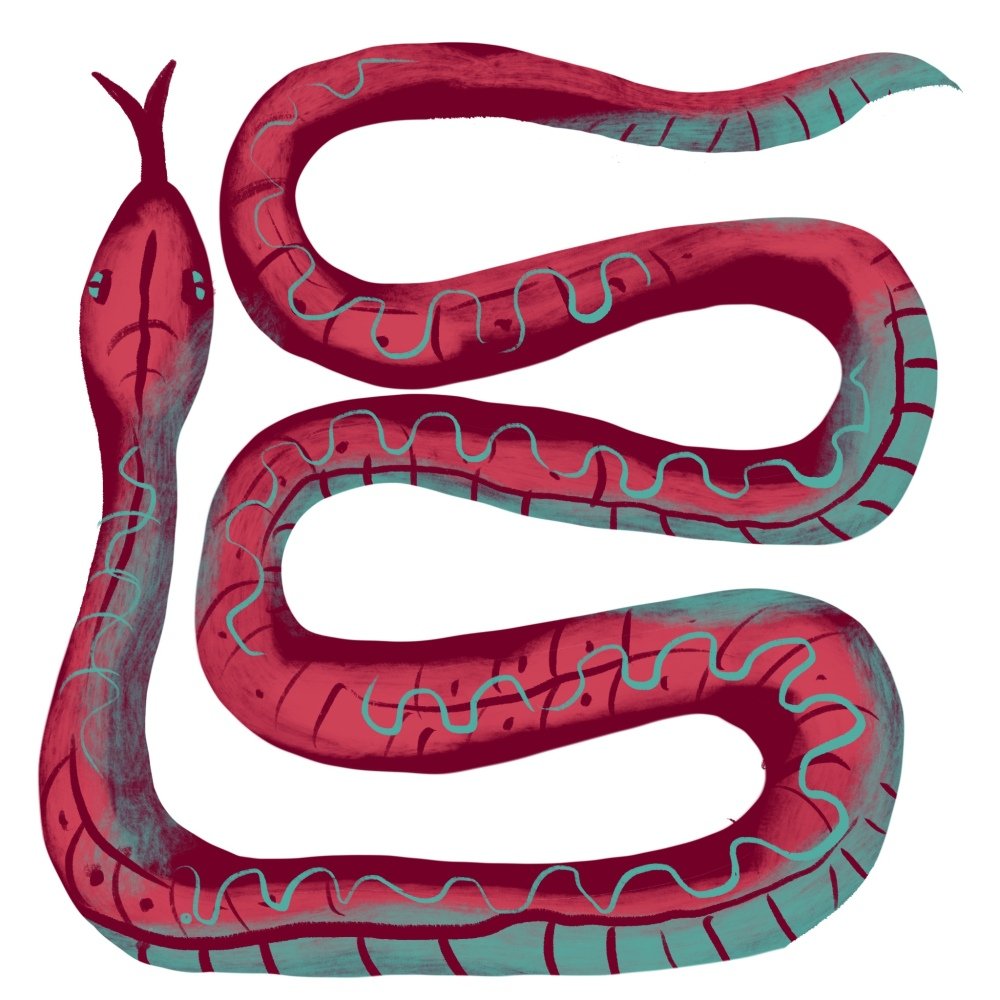 Snakes will face a year of both good fortune and risk. Illustration: Adolfo Arranz