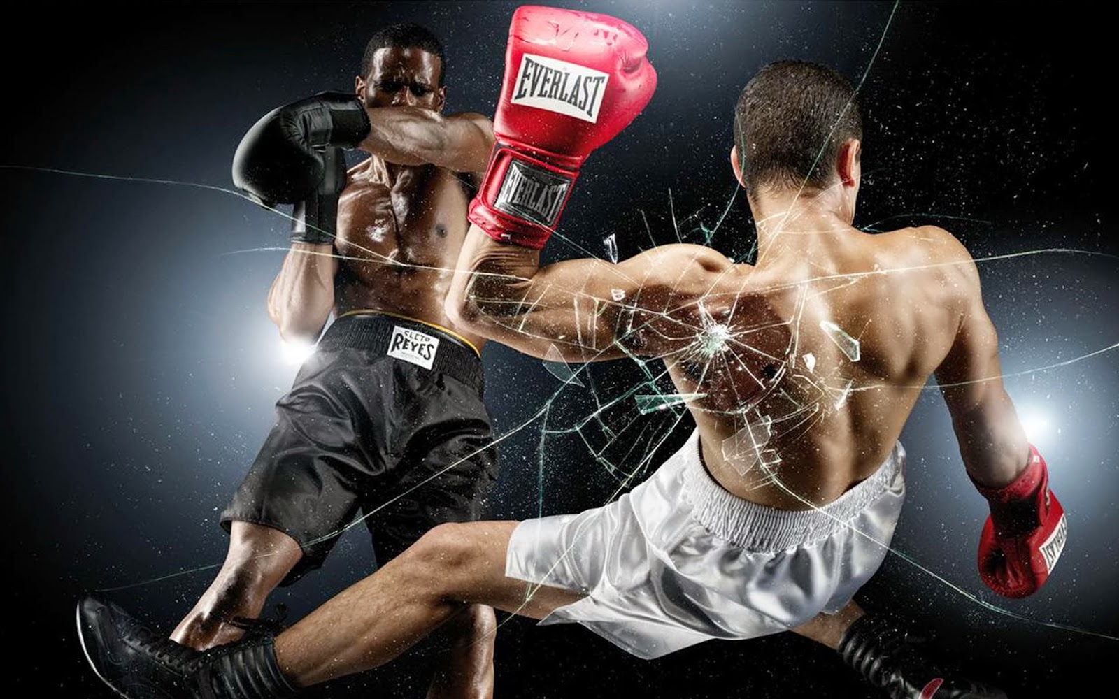 Khoá học boxing trực tuyến: Học võ thuật từ căn bản đến nâng cao.