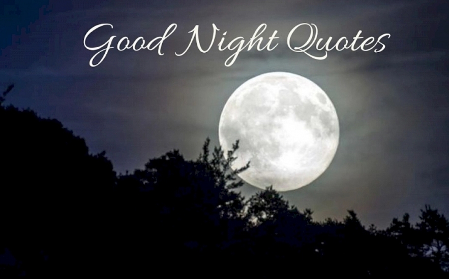 Top Best Good Night Quotes By World's Famous Authors 