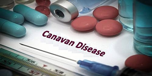 Canavan Disease: Symptoms, Causes, Diagnosis and Treatment