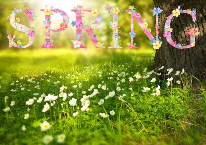 What is the Vernal Equinox: Start Spring, Meaning, Celebration, Horoscope