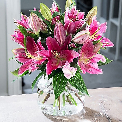 Top Best Flowers For Mother, Wife and Girlfriend on Women's Day