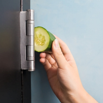 Easy Ways to Stop a Squeaky Door with Cucumber, Olive Oil, Soap or Washing-up Liquid