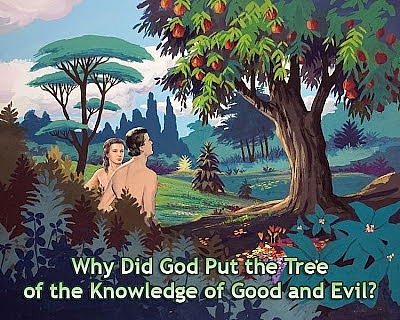 Tree of the Knowledge of Good and Evil: History, Meaning, Unique Facts