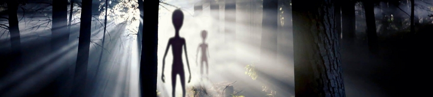 Tiny alien measuring just 30 centimeters