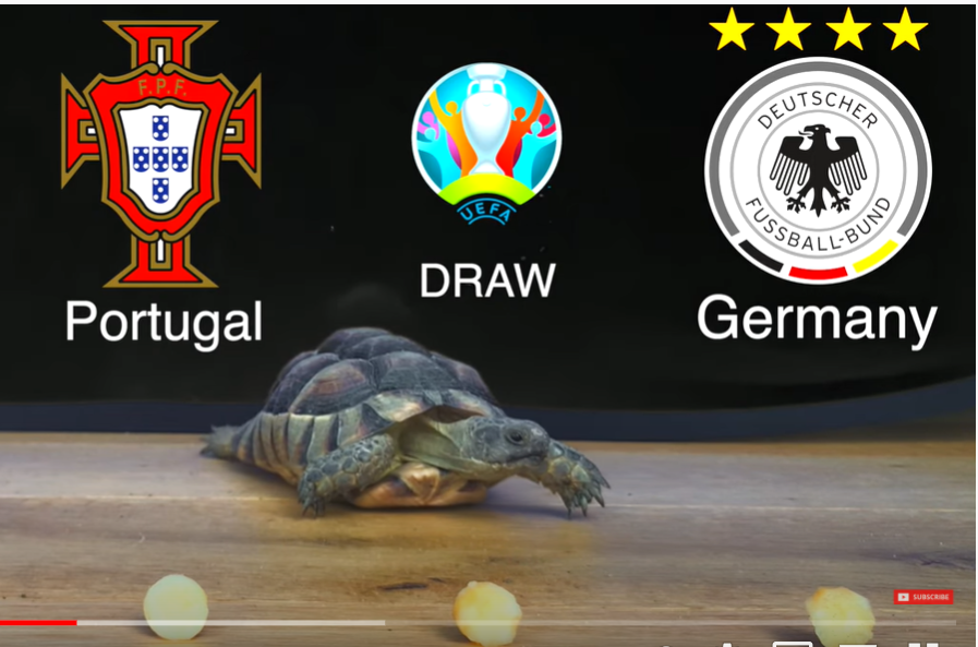 Super Turtle Predicts Euro 2020: Germany Win Over Portugal