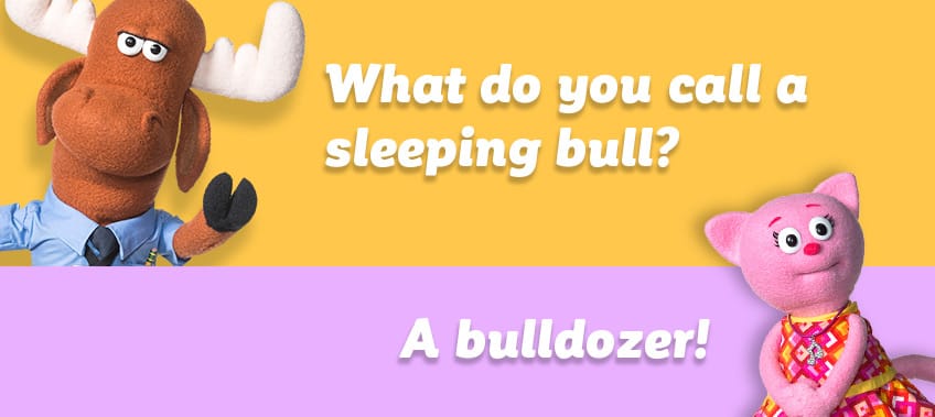 What do you call a sleeping bull? A bulldozer!