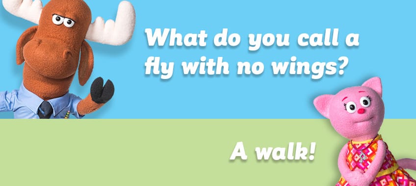 What do you call a fly with no wings?  A walk!