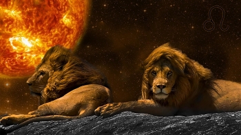 LEO Weekly Horoscope 19 - 25 July: Predictions for Love, Money, Career and Health