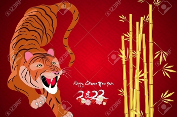 year of tiger 2022 horoscope feng shui prediction for all 12 animal zodiac signs