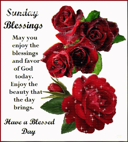 Happy Sunday: Best Wishes, Quotes, and Great Messages