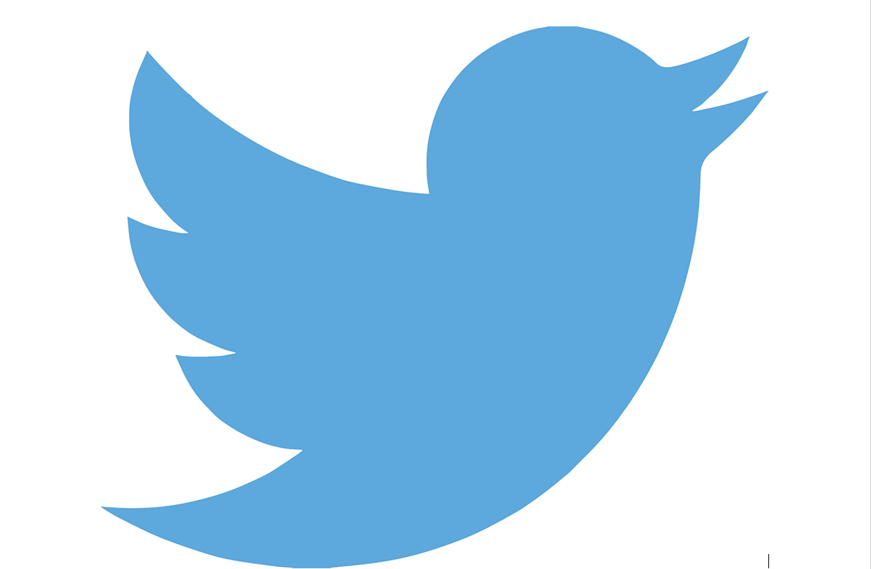 Twitter Censorship and Fighting Back - Image Source: Pixabay