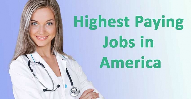 the top highest paying jobs best salary careers